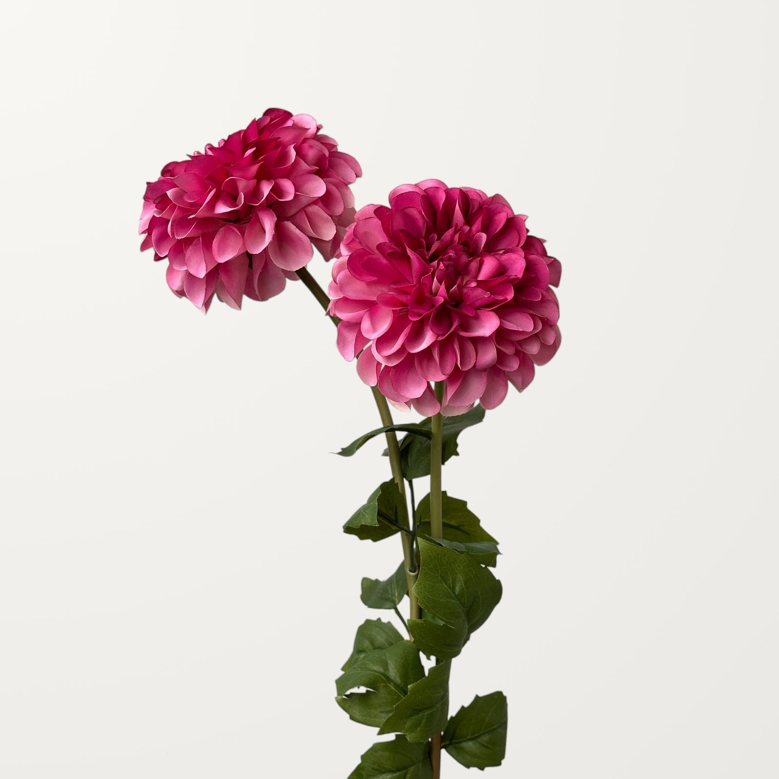 Dahlia – Hot Pink - view 2