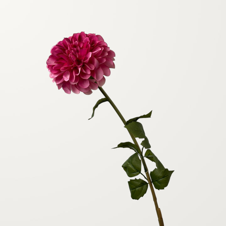 Dahlia – Hot Pink - view 3