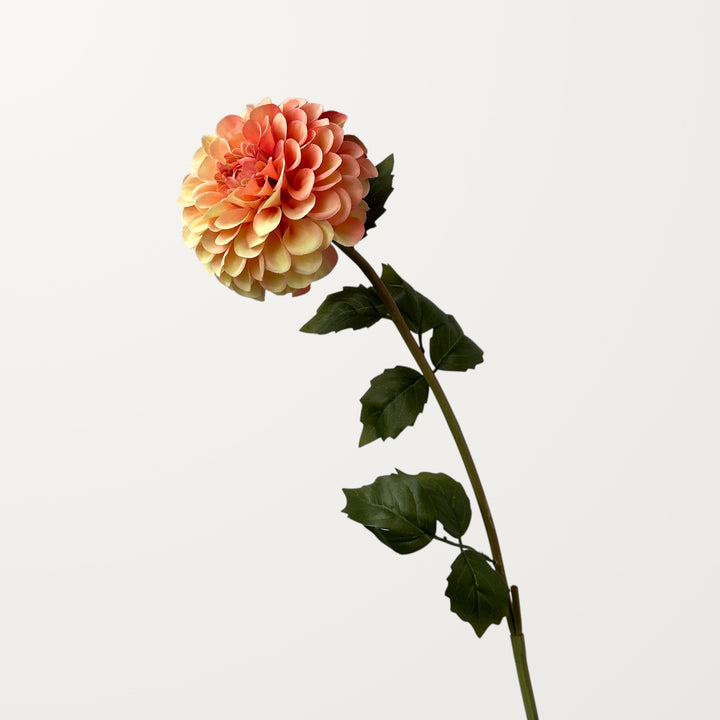 Dahlia – Peach Orange - view 3