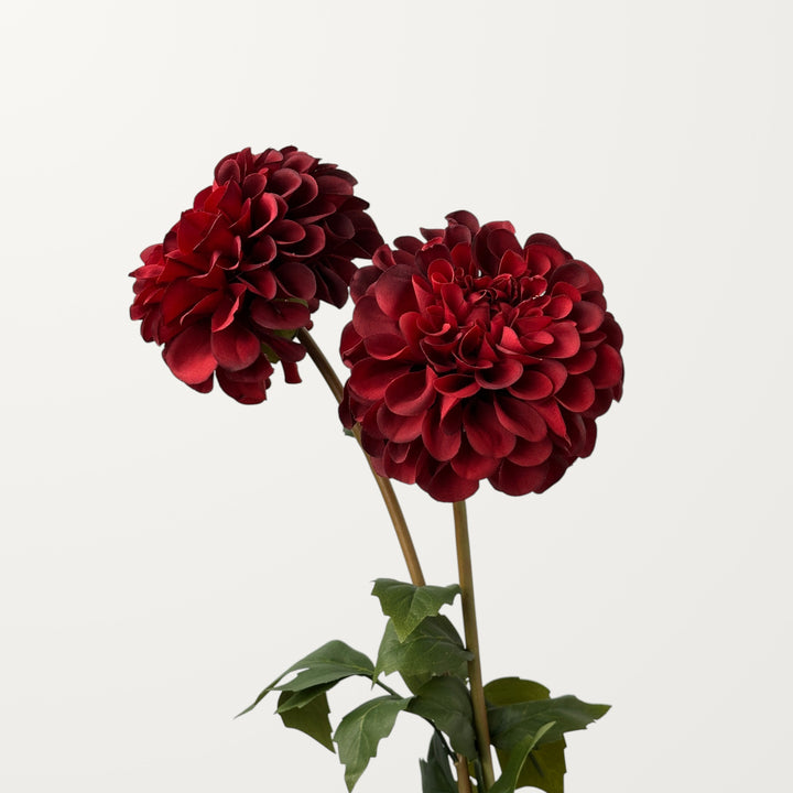 Dahlia – Red - view 2