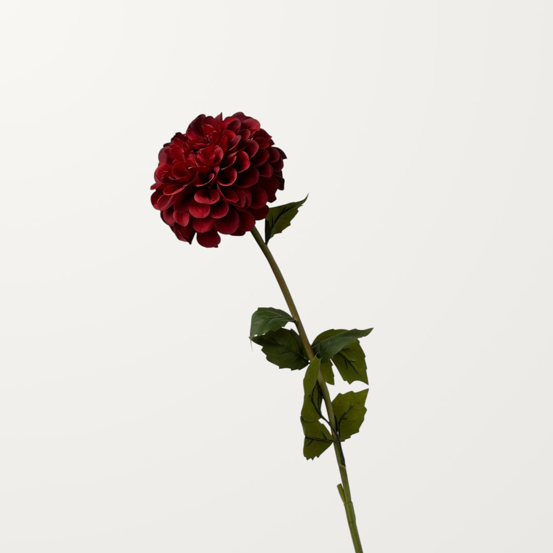 Dahlia – Red - view 3