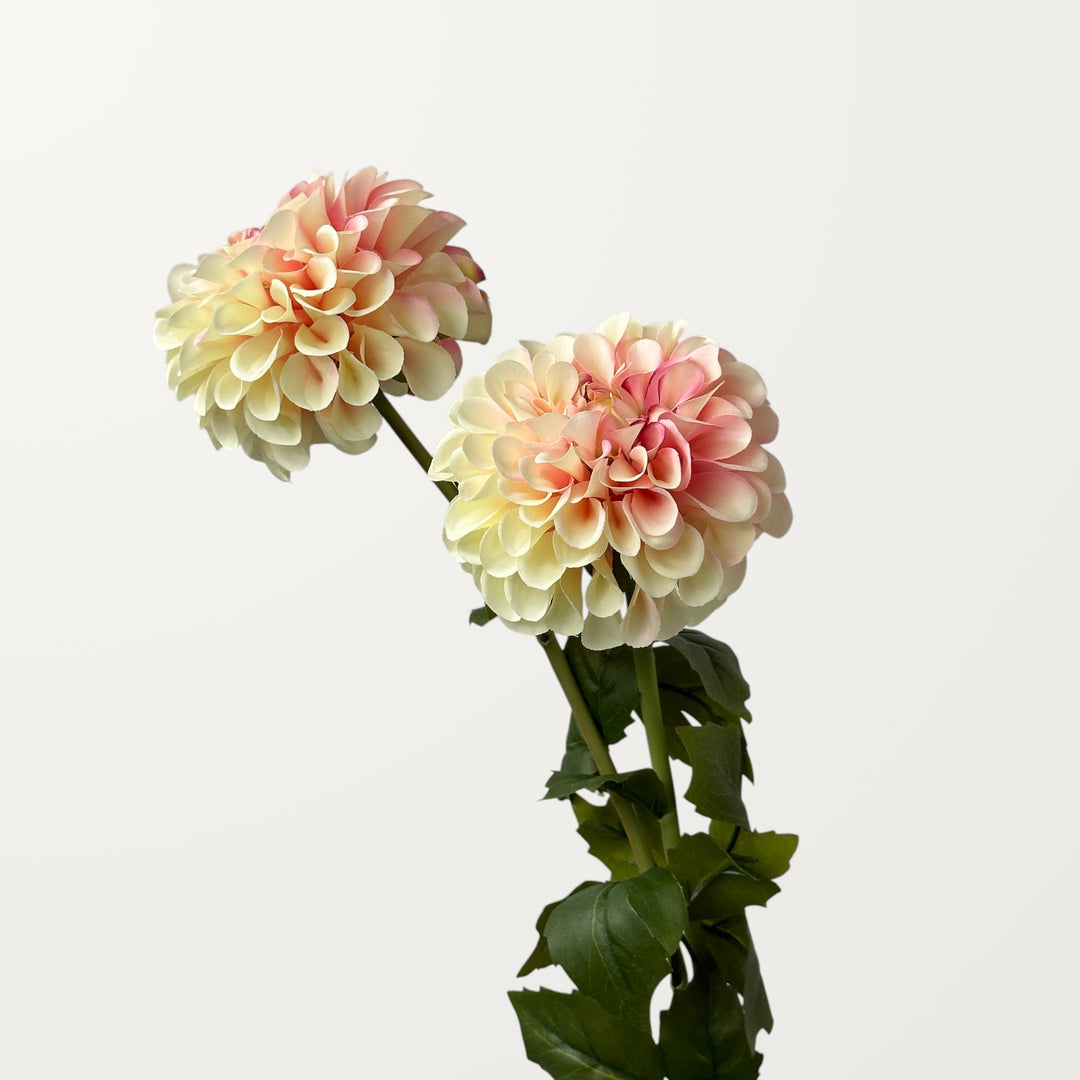 Dahlia – Soft Pink - view 2