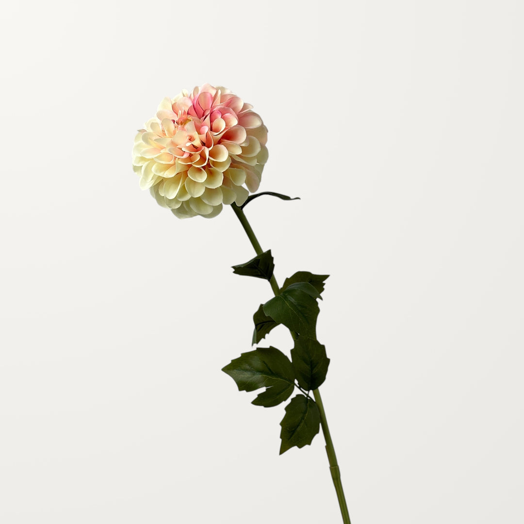 Dahlia – Soft Pink - view 3
