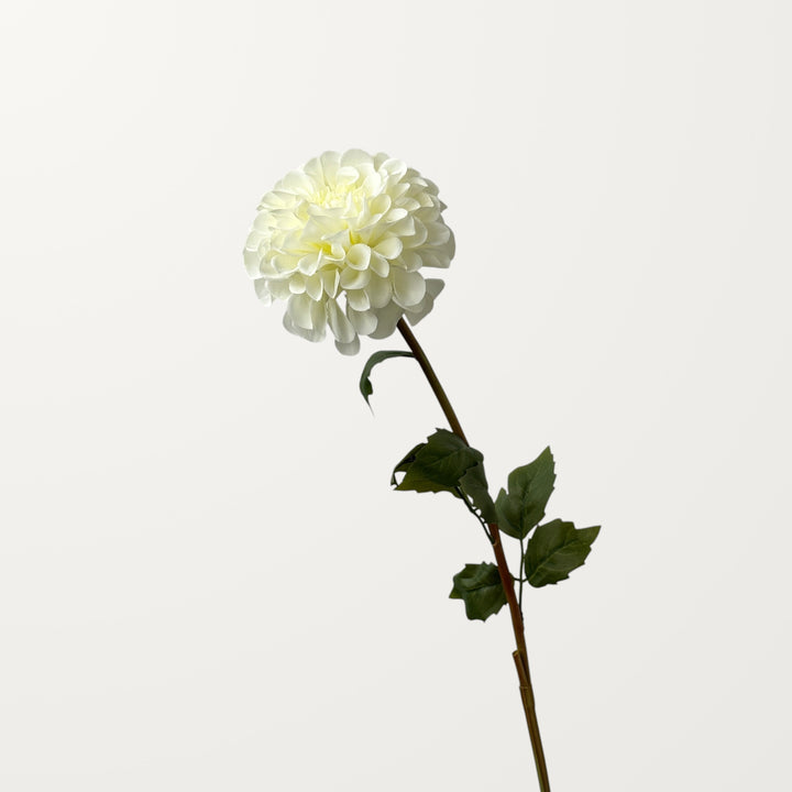 Dahlia – White - view 3