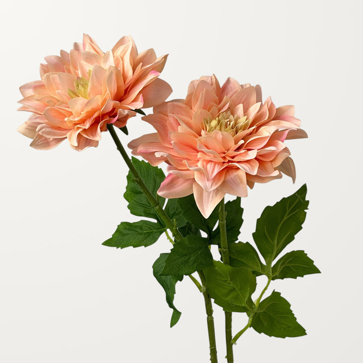 Grand Dahlia – Apricot (Real Touch) - view 2