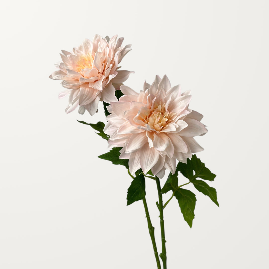 Grand Dahlia – Blush Pink (Real Touch) - view 2
