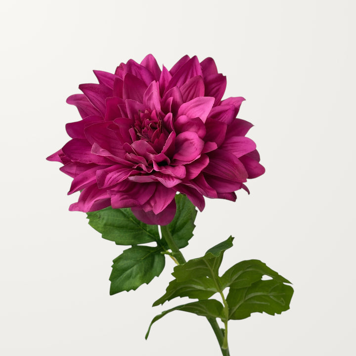 Grand Dahlia – Hot Pink (Real Touch)