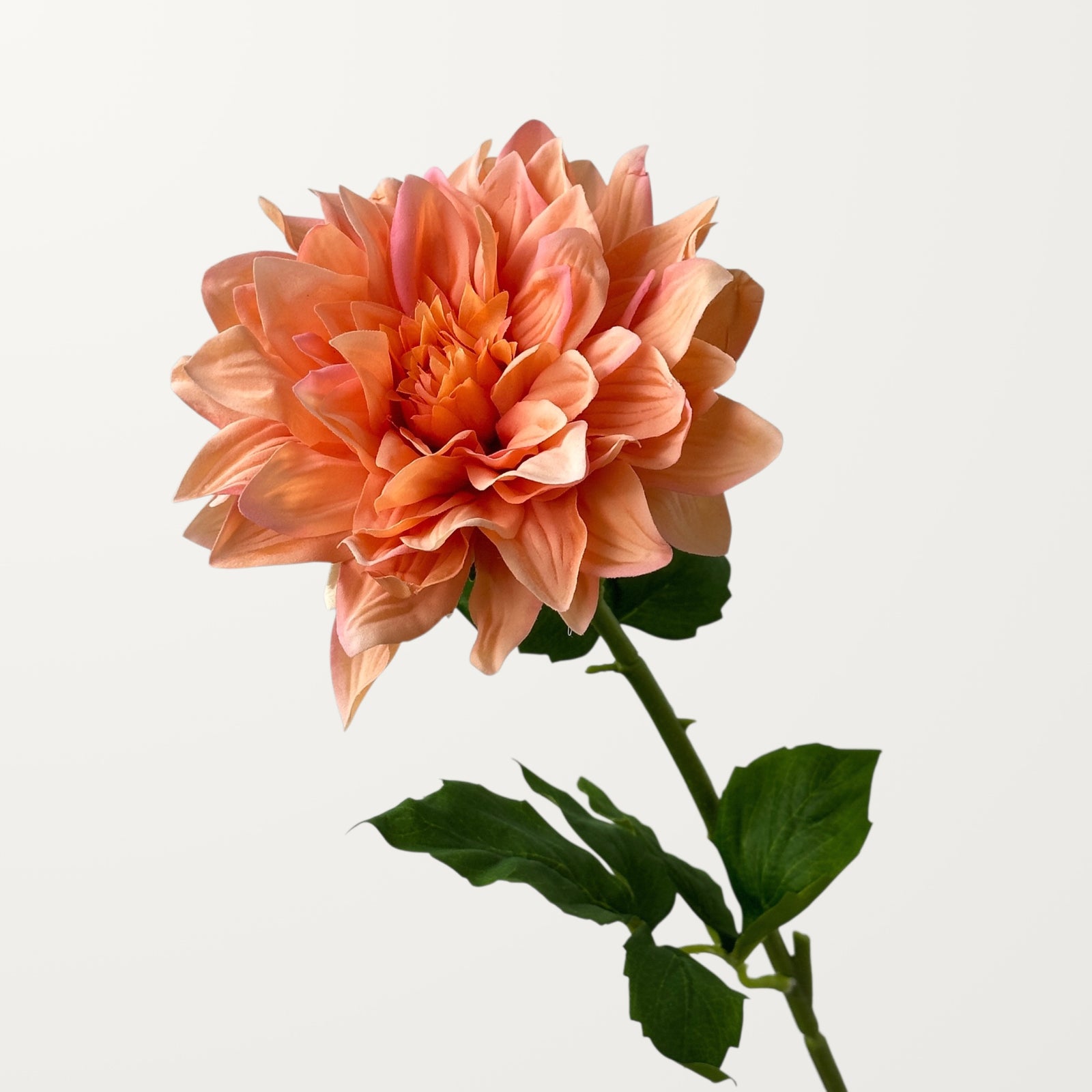 Grand Dahlia – Peach Orange (Real Touch)