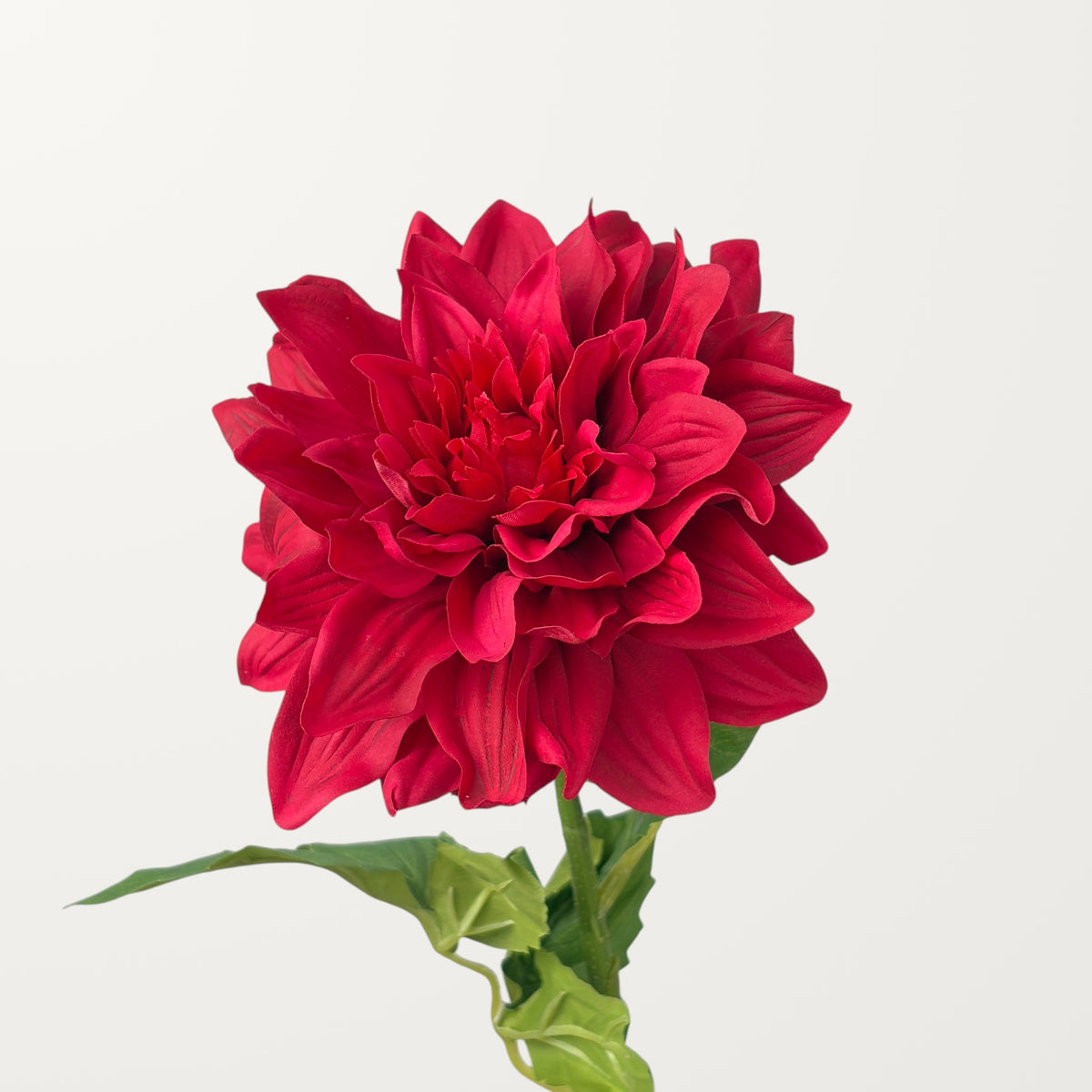 Grand Dahlia – Red (Real Touch)