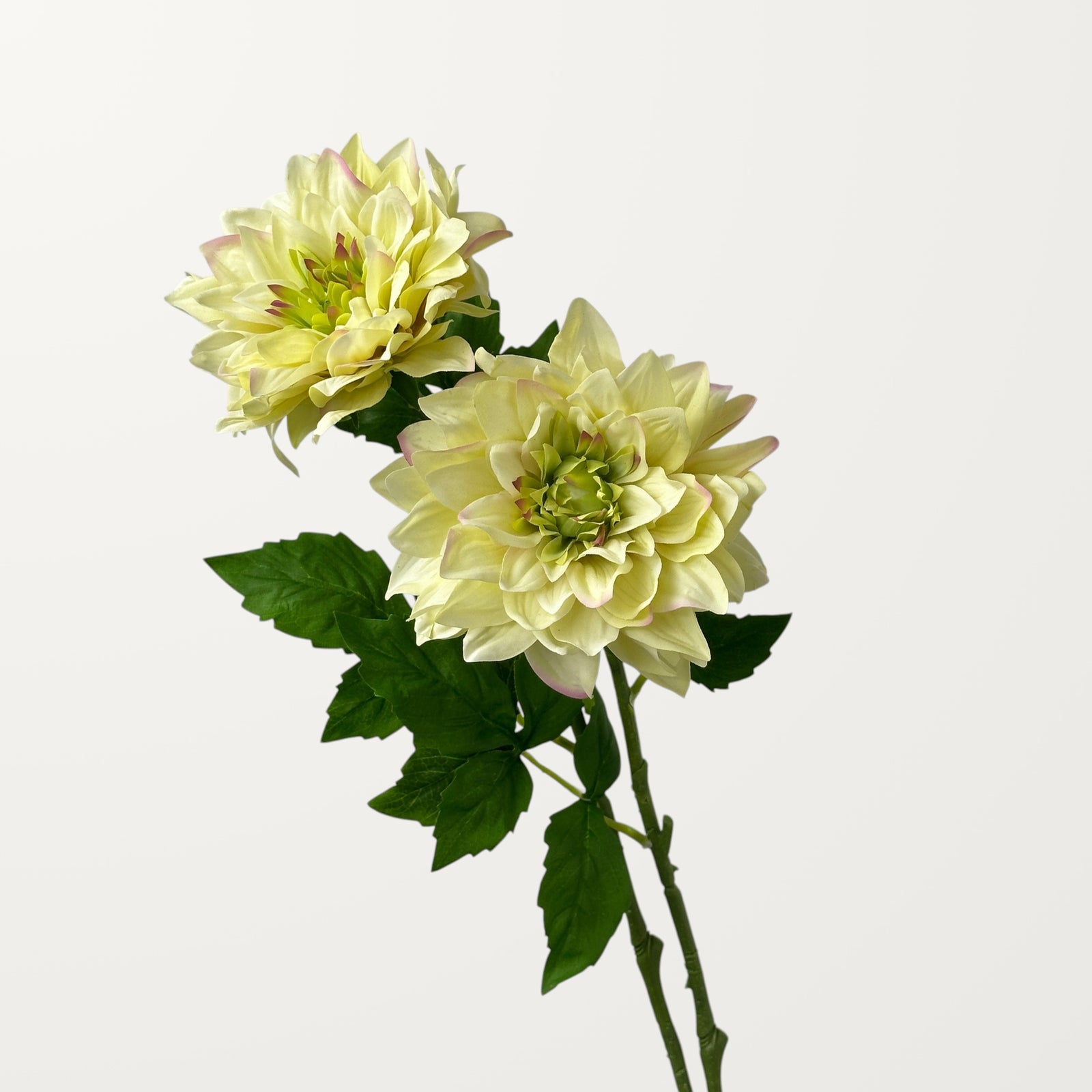 Grand Dahlia – Spring Green (Real Touch) - view 2