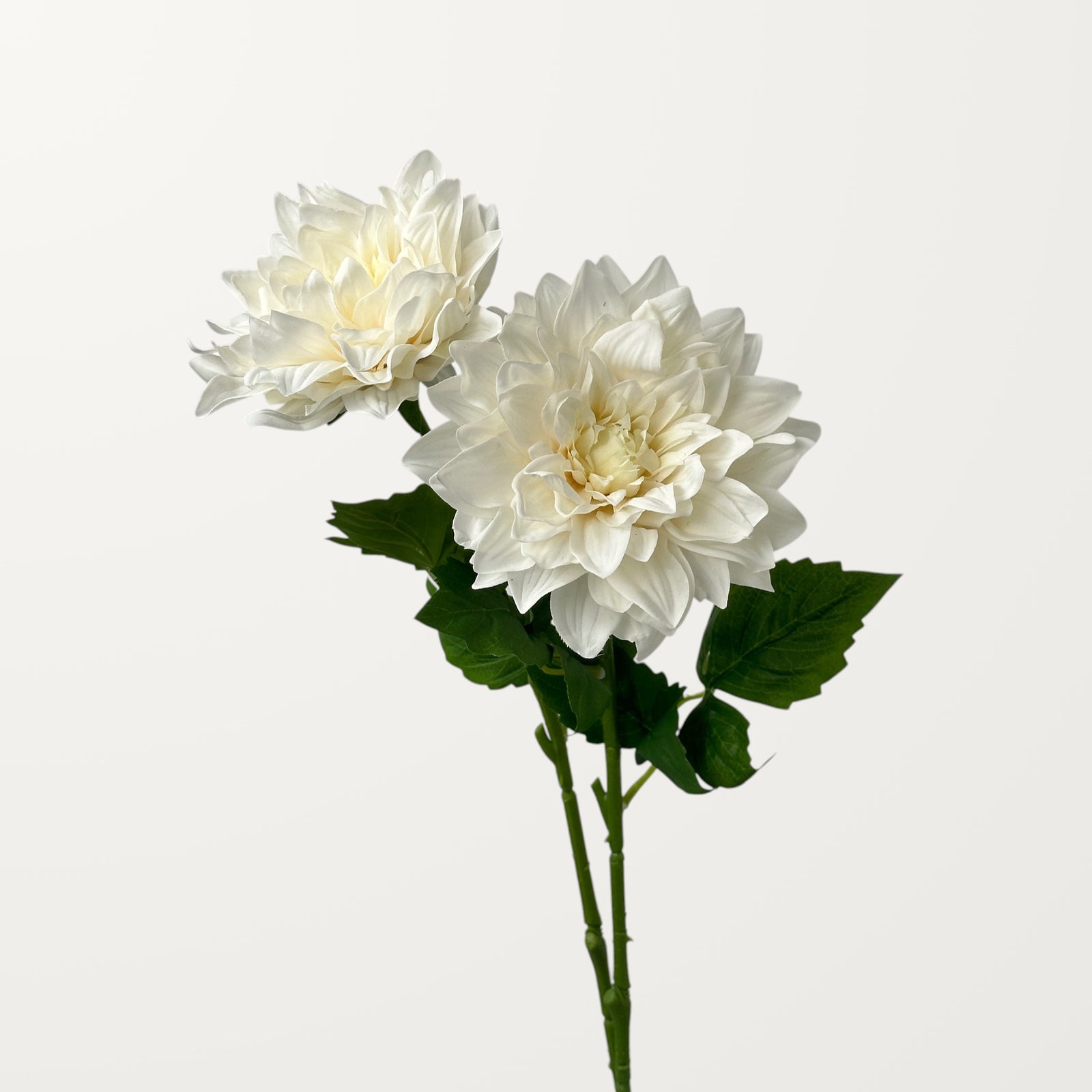 Grand Dahlia – White (Real Touch) - view 2
