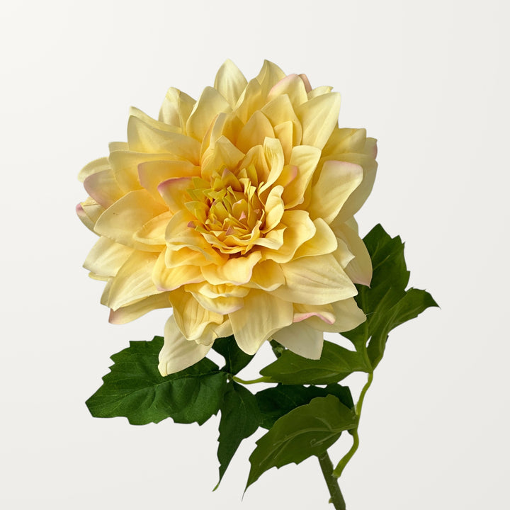 Grand Dahlia – Yellow (Real Touch)