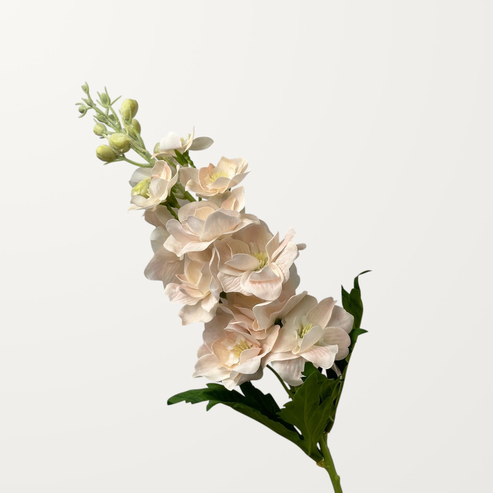 Delphinium – Blush Pink (Real Touch)