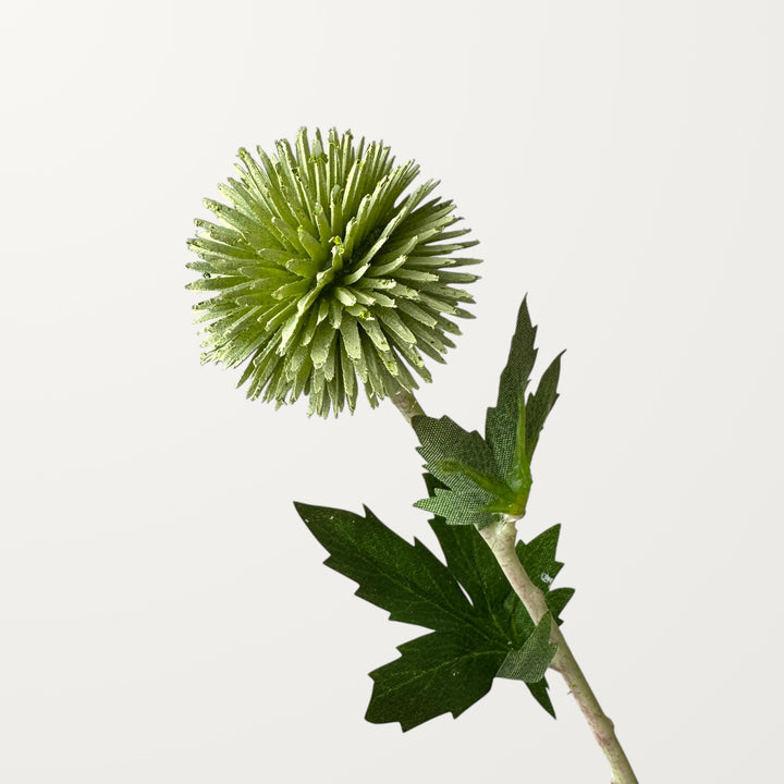 Echinops – Sage Green - view 3