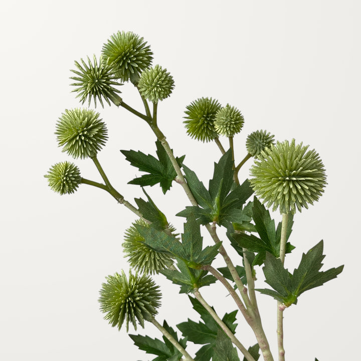 Echinops – Sage Green - view 2