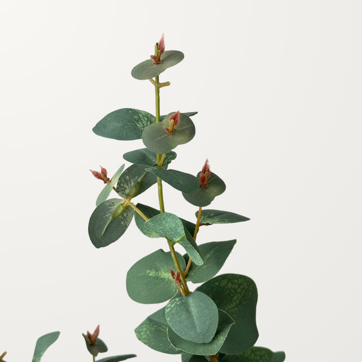 Silver Dollar Eucalyptus – Mist Green - view 2