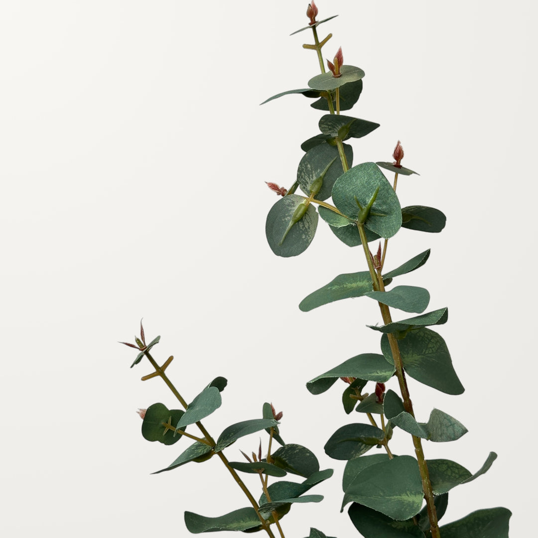 Silver Dollar Eucalyptus – Mist Green - view 3