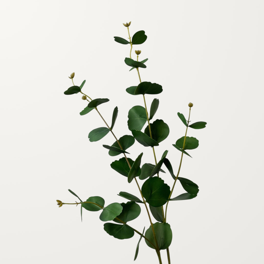 Forked Eucalyptus – Green - view 2