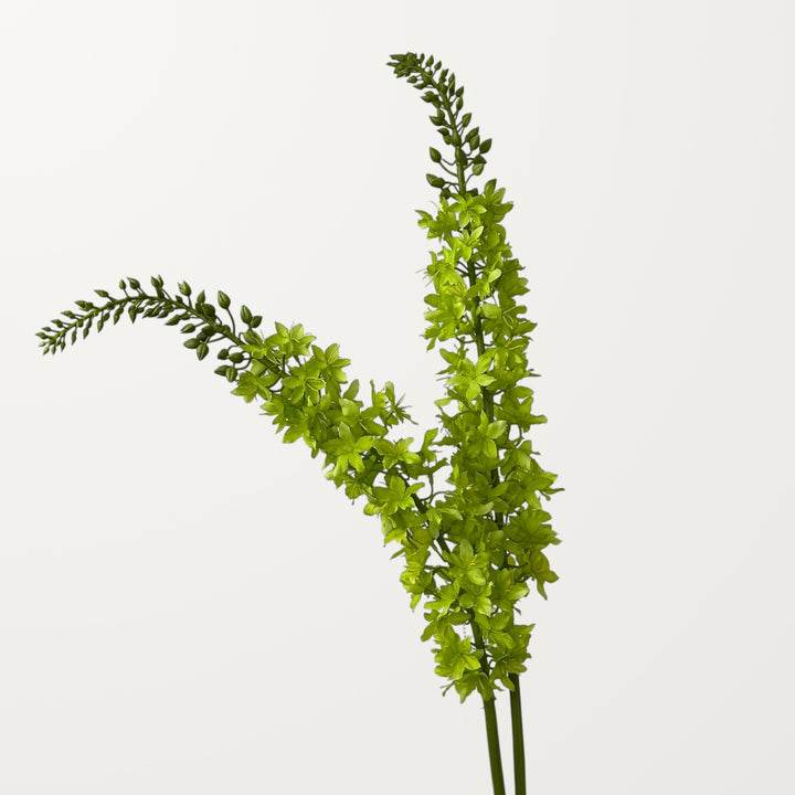 Foxtail Lily – Spring Green - view 2