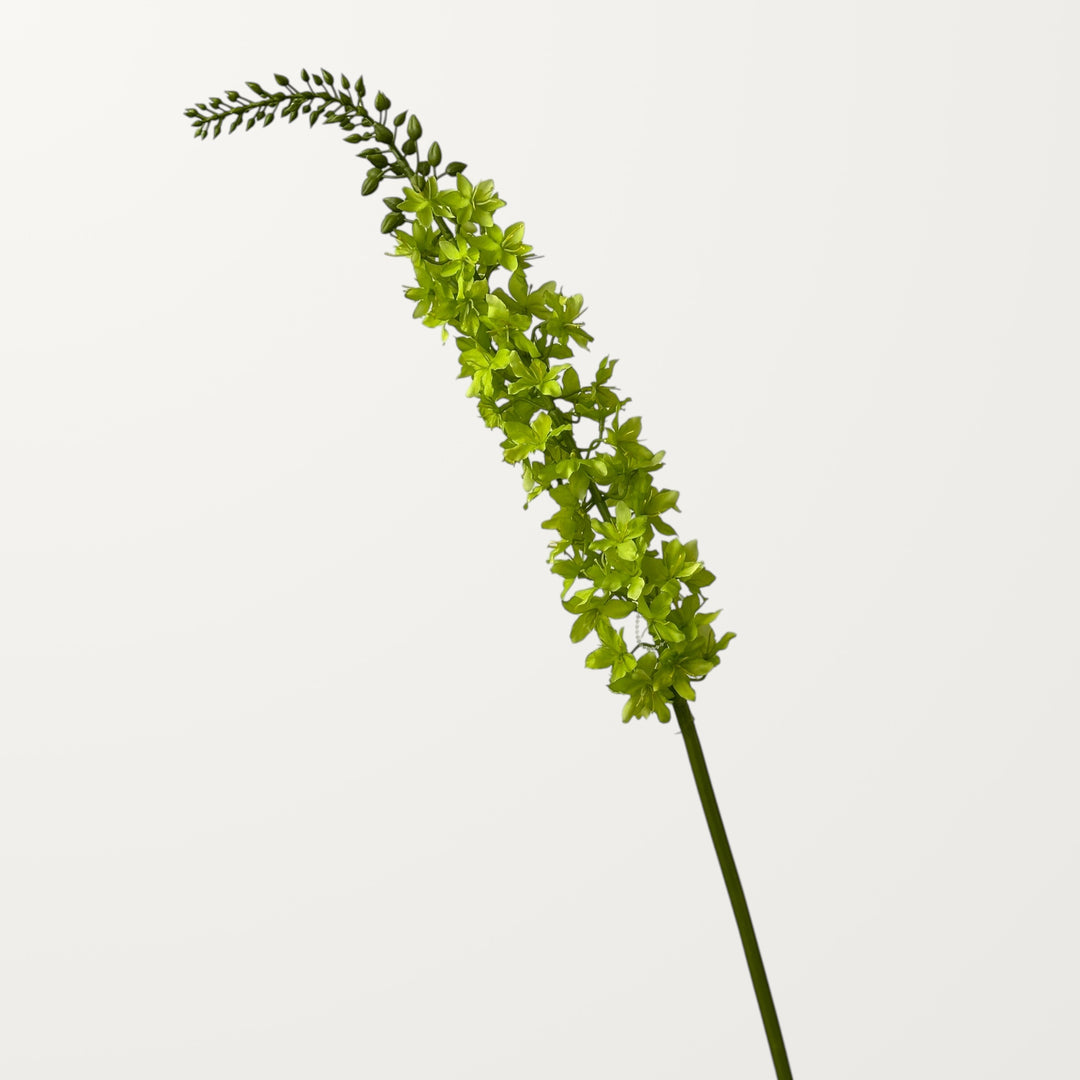 Foxtail Lily – Spring Green - view 3