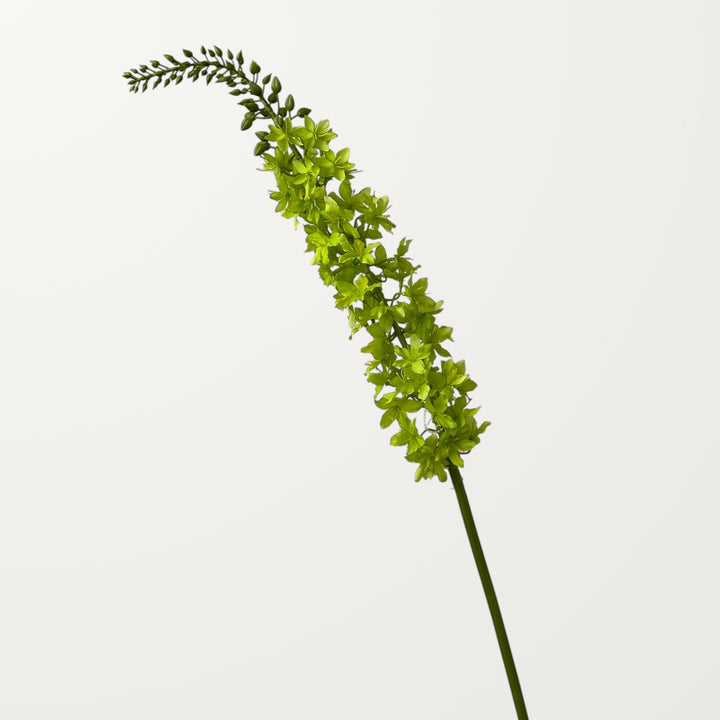 Foxtail Lily – Spring Green - view 3