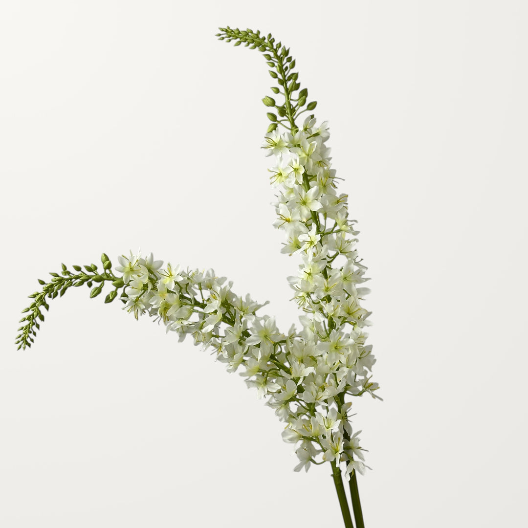 Foxtail Lily – White - view 2