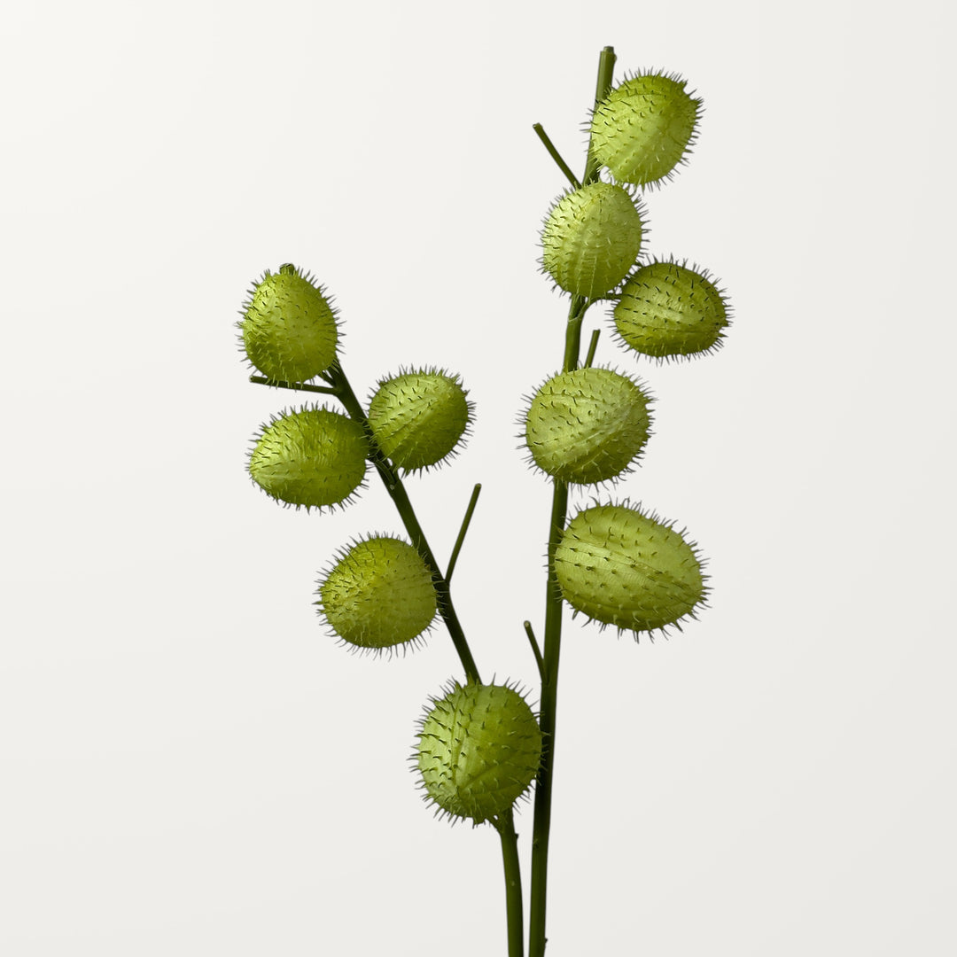 Balloon Cotton Pod – Spring Green (Real Touch) - view 2