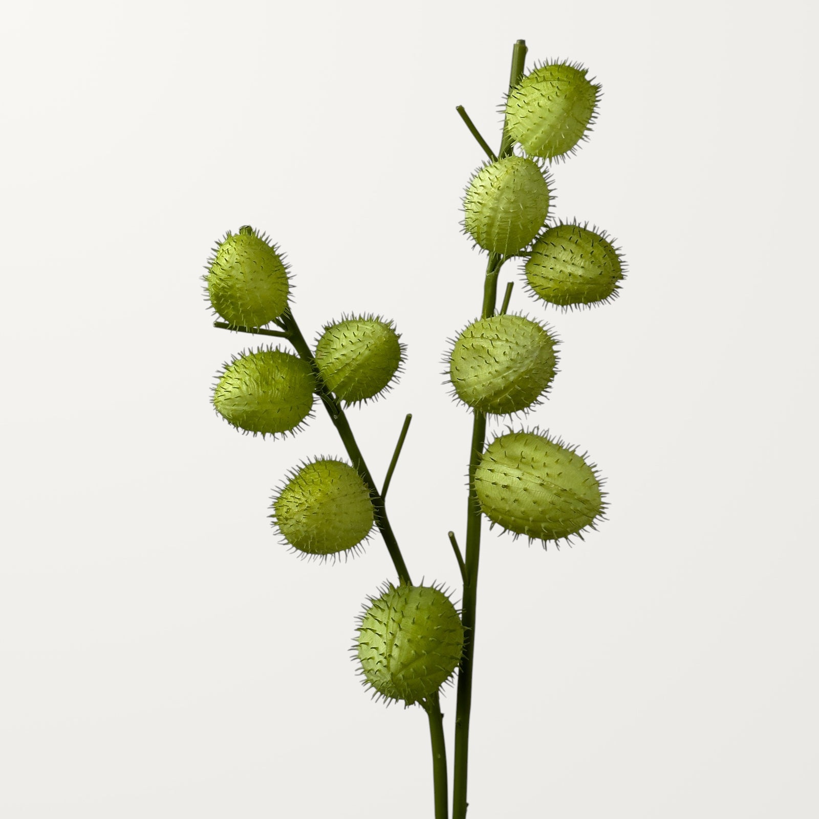 Balloon Cotton Pod – Spring Green (Real Touch) - view 2