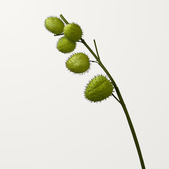 Balloon Cotton Pod – Spring Green (Real Touch)