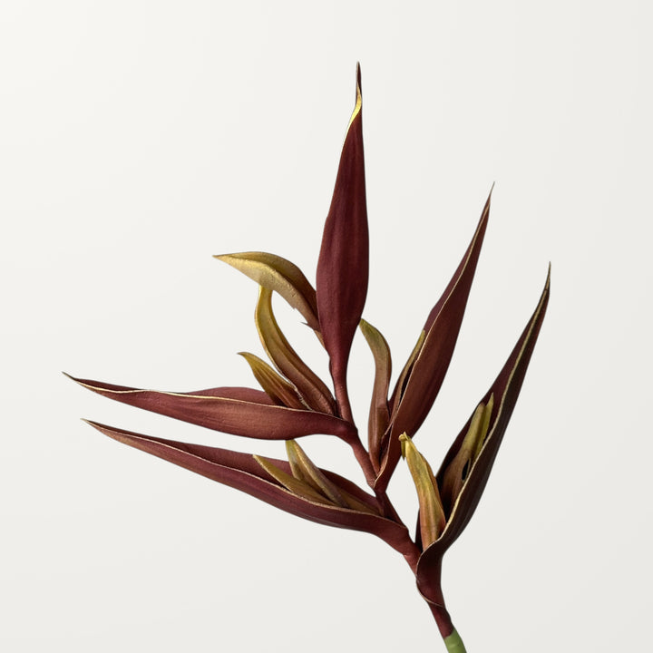 Heliconia – Bordeaux (Real Touch)
