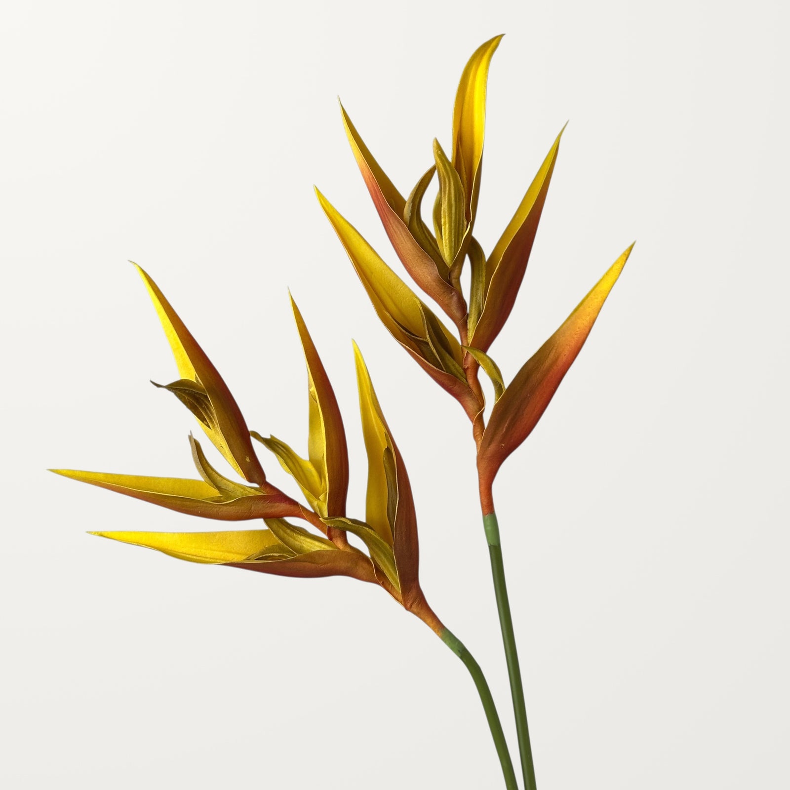 Heliconia – Orange (Real Touch) - view 2