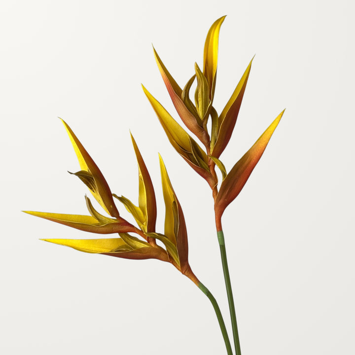 Heliconia – Orange (Real Touch) - view 2