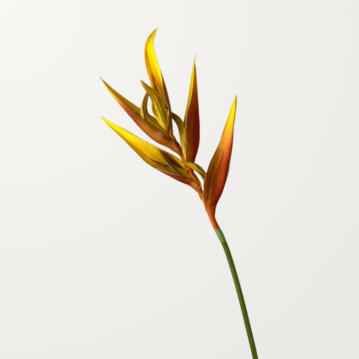 Heliconia – Orange (Real Touch) - view 3