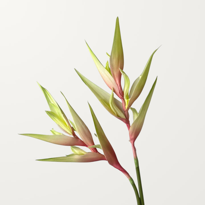 Heliconia – Soft Pink (Real Touch) - view 2