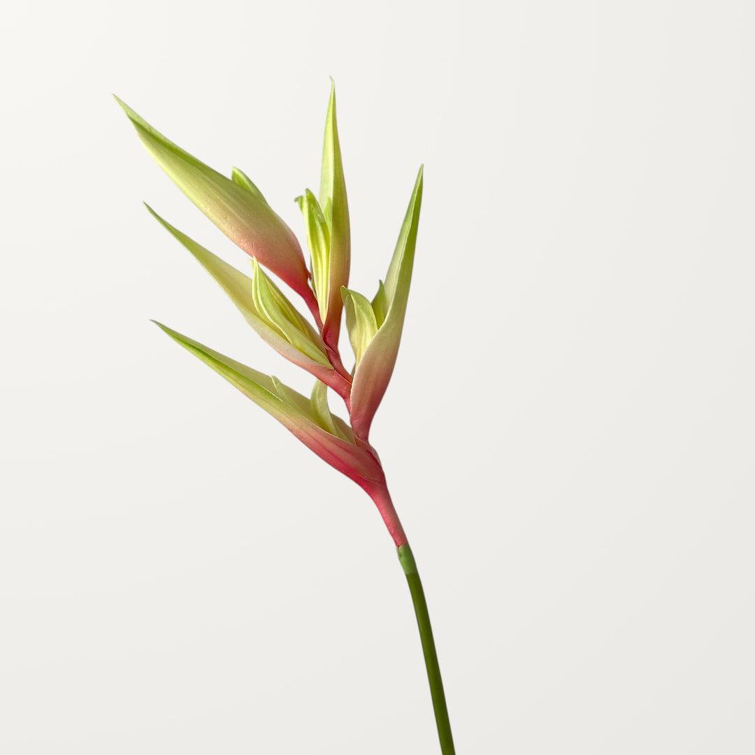 Heliconia – Soft Pink (Real Touch) - view 3