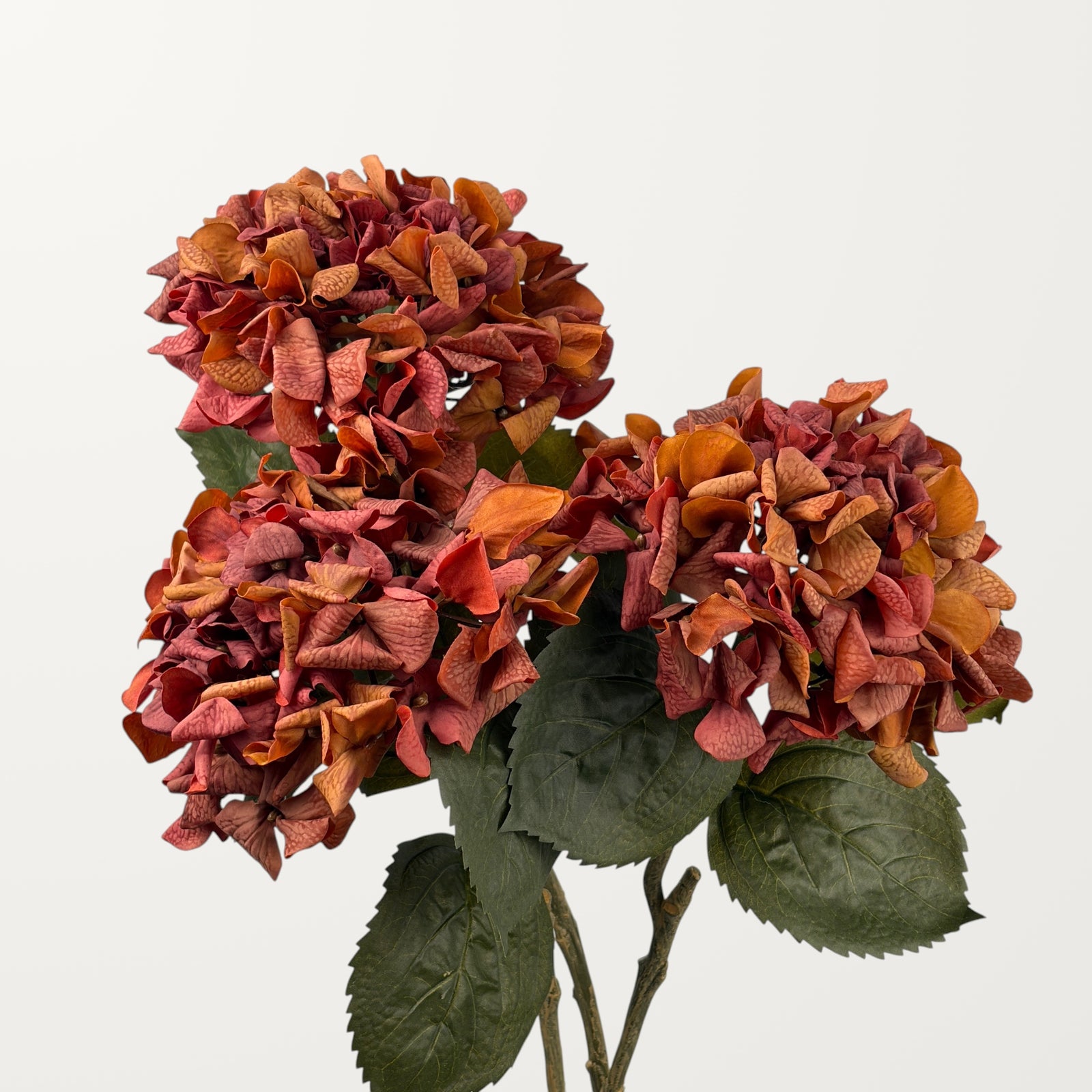 Curled Petal Hydrangea – Burnt Orange (Real Touch) - view 3