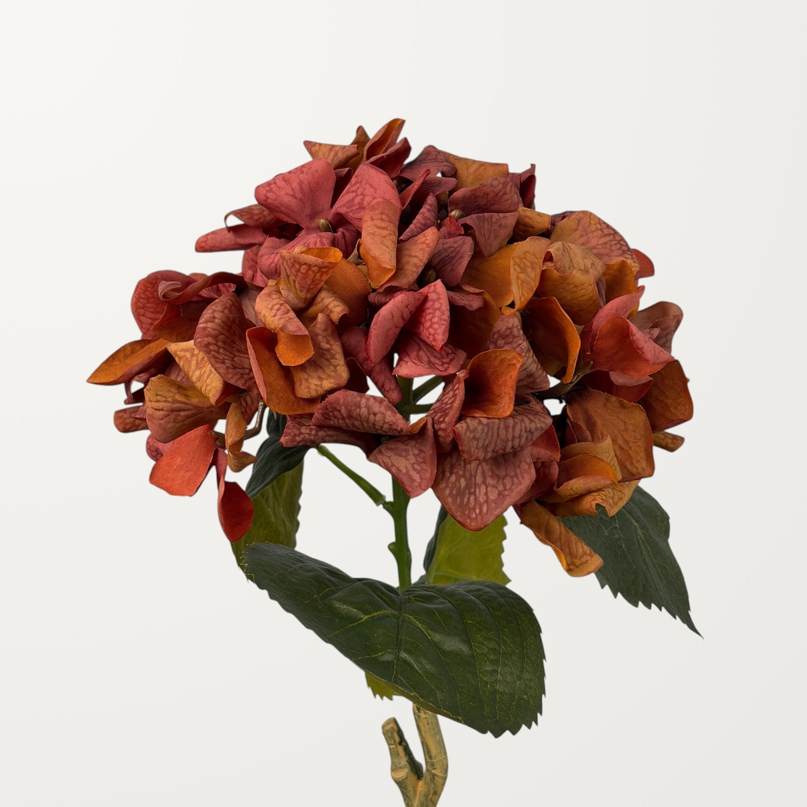 Curled Petal Hydrangea – Burnt Orange (Real Touch)