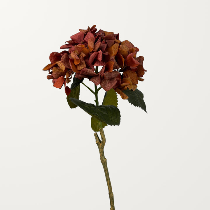 Curled Petal Hydrangea – Burnt Orange (Real Touch) - view 2