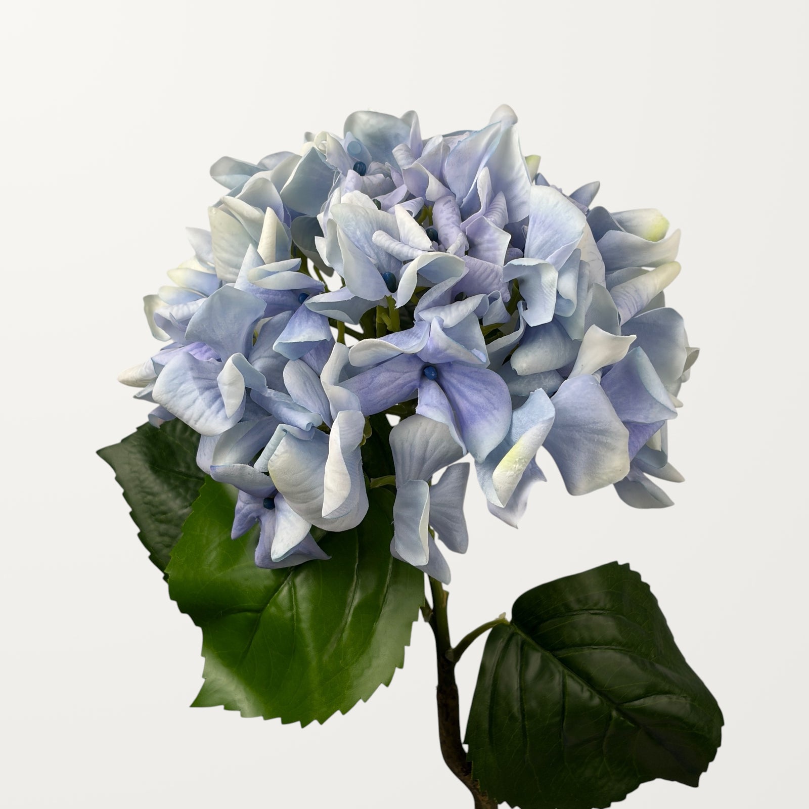 Curled Petal Hydrangea – Cornflower Blue (Real Touch)