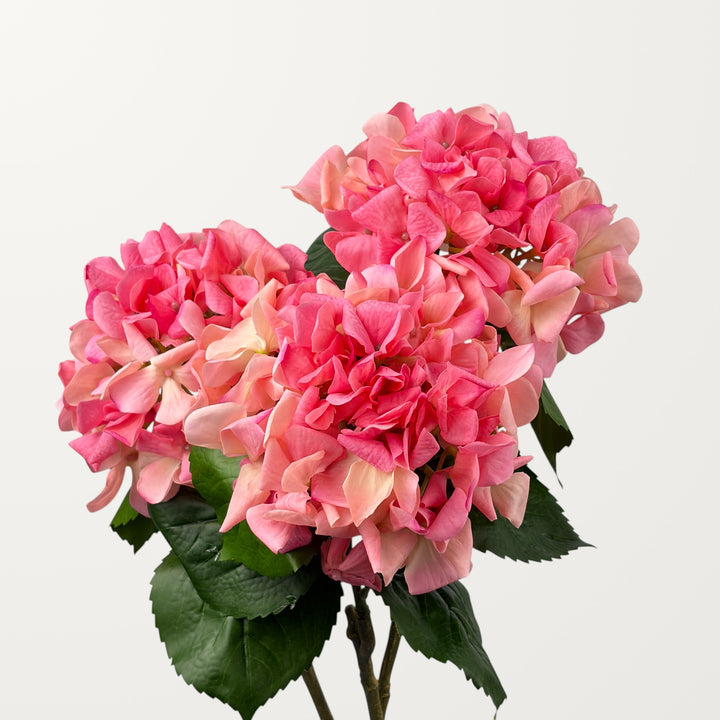 Curled Petal Hydrangea – Hot Pink (Real Touch) - view 2