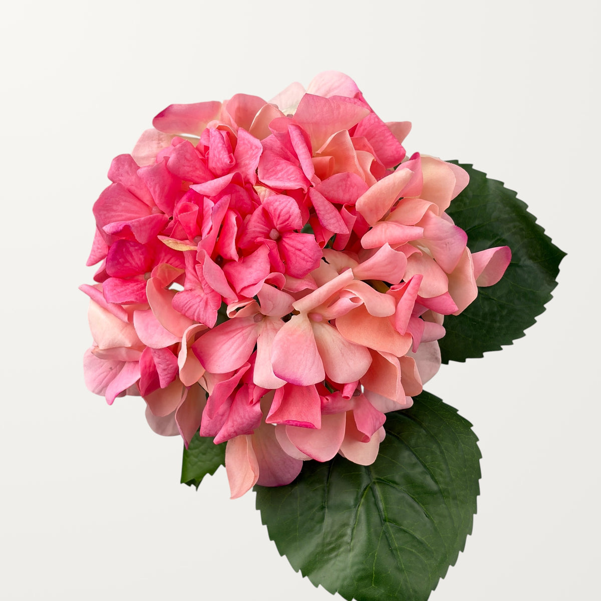 Curled Petal Hydrangea – Hot Pink (Real Touch)