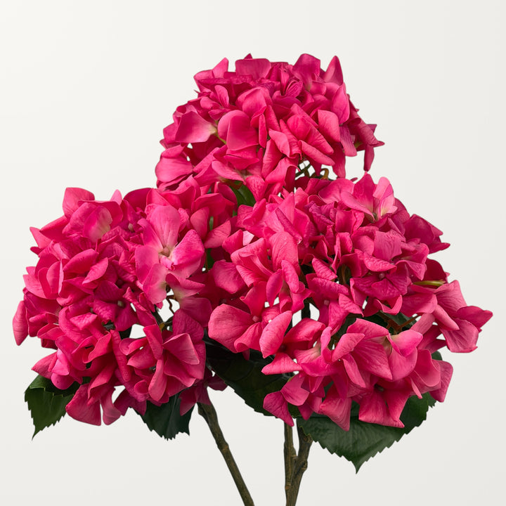Curled Petal Hydrangea – Magenta (Real Touch) - view 3
