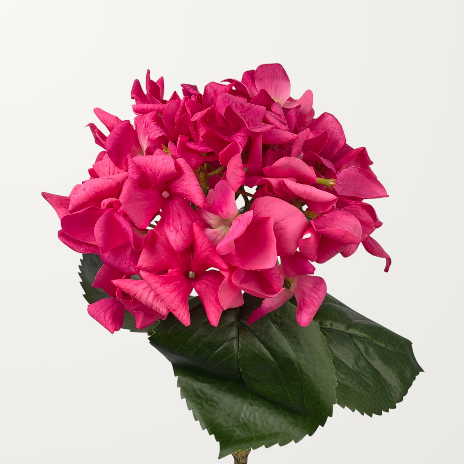 Curled Petal Hydrangea – Magenta (Real Touch)