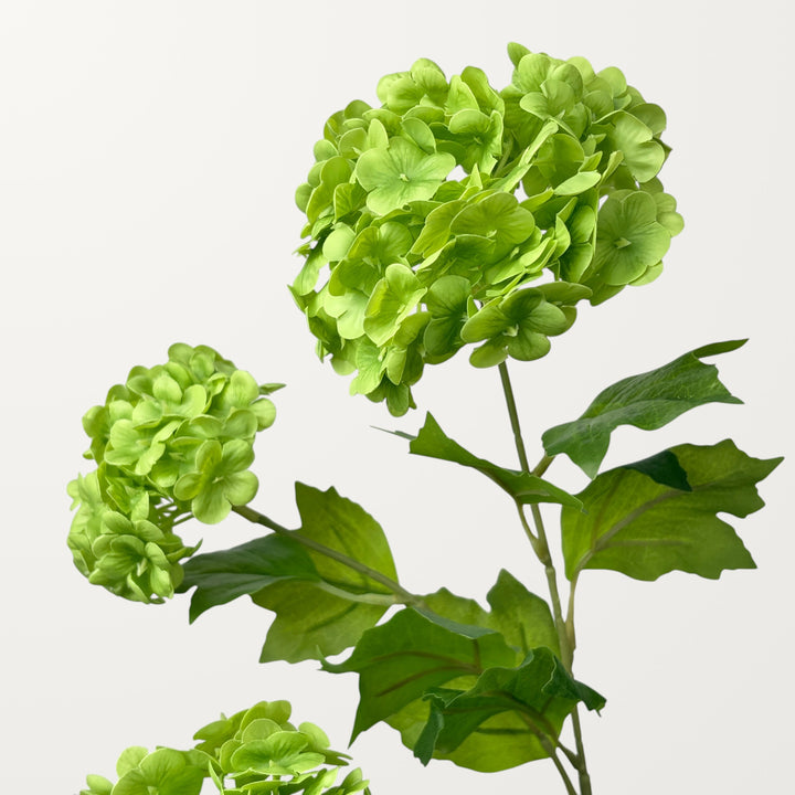 Snowball Hydrangea – Green (Real Touch) - view 3