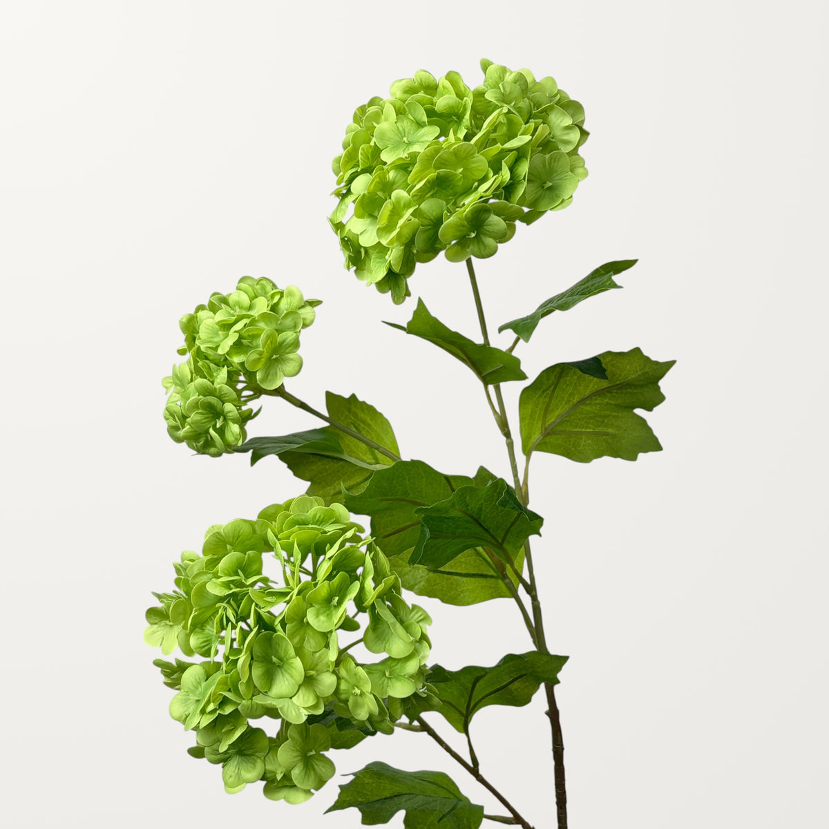 Snowball Hydrangea – Green (Real Touch)