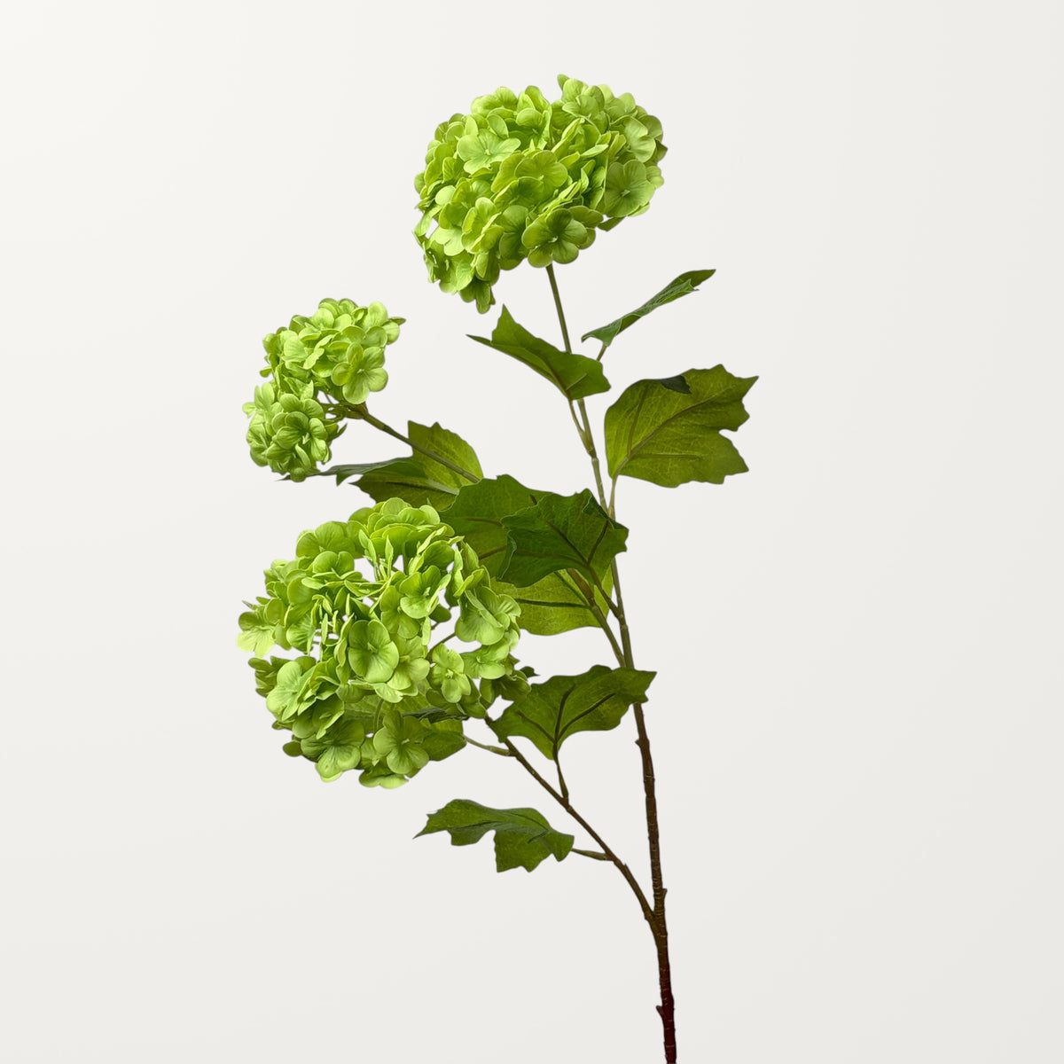 Snowball Hydrangea – Green (Real Touch) - view 2