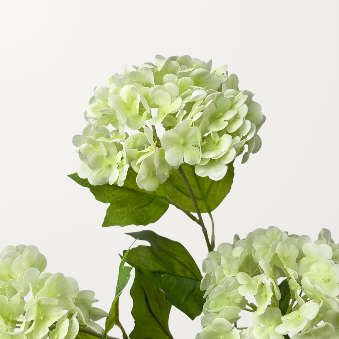 Snowball Hydrangea – Ivory Green (Real Touch) - view 3