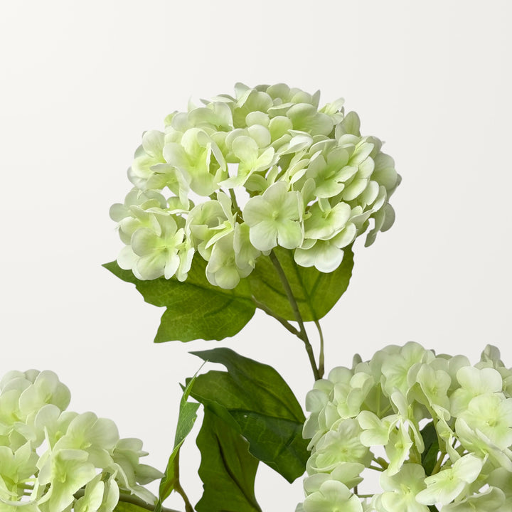 Snowball Hydrangea – Ivory Green (Real Touch) - view 3