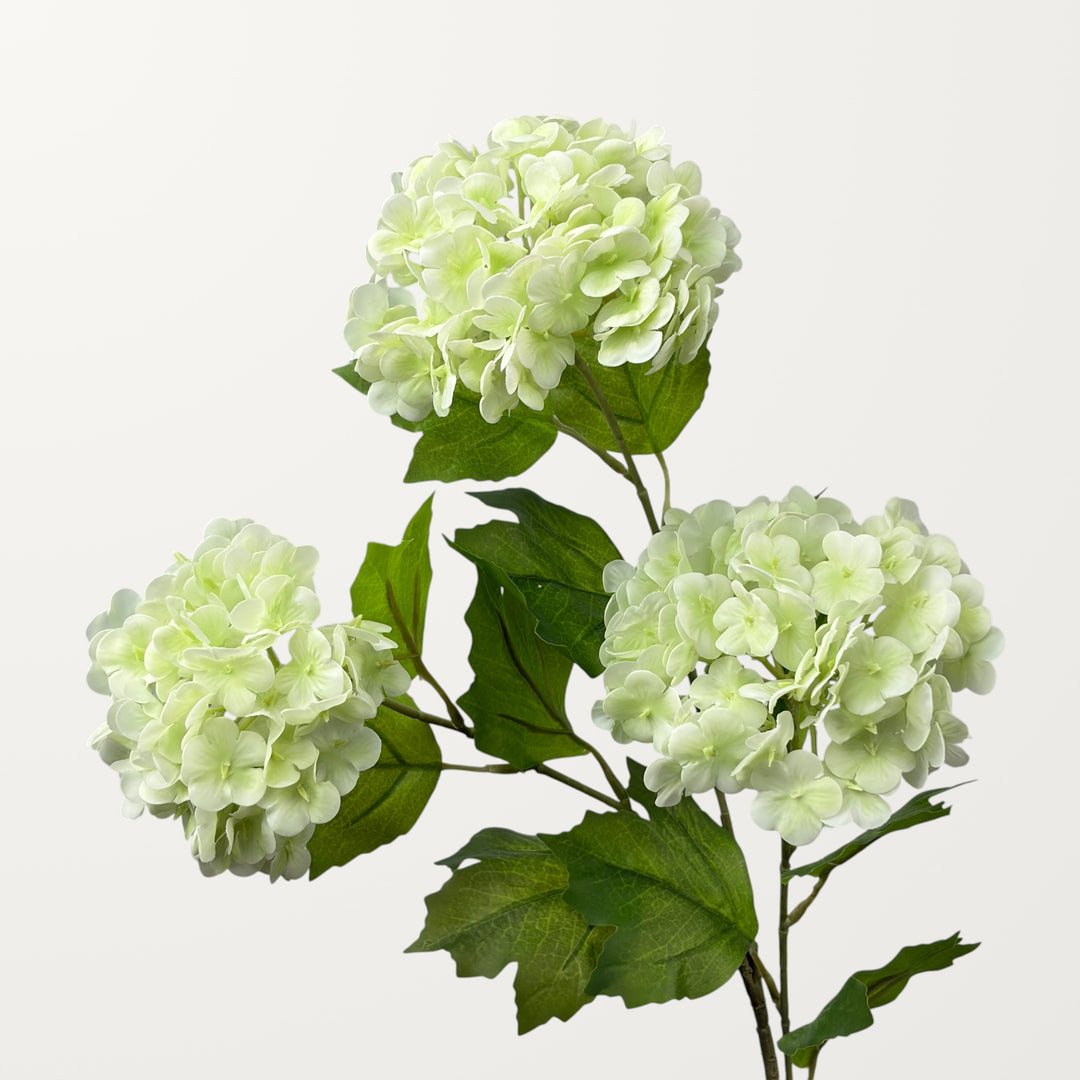 Snowball Hydrangea – Ivory Green (Real Touch)