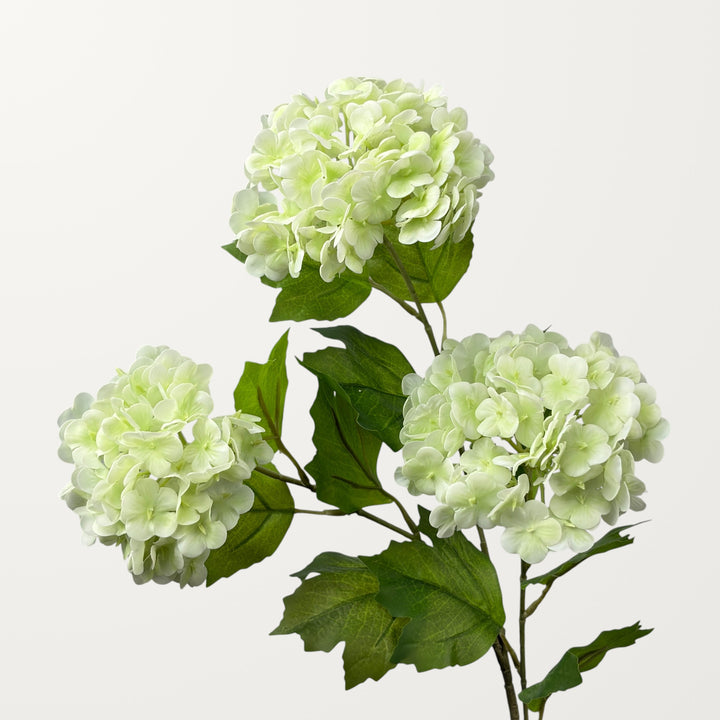 Snowball Hydrangea – Ivory Green (Real Touch)